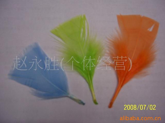 羽毛,羽毛工艺品,鸵鸟毛条,雀尾(图)