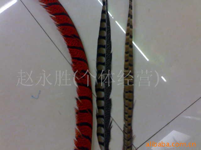 羽毛工艺,鸵鸟毛,雀尾各种野擒毛等