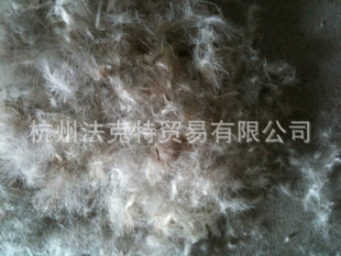 销售鹅绒鸭绒手感好品高