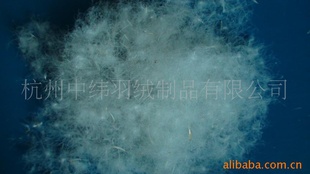 ϳ޲ϡ