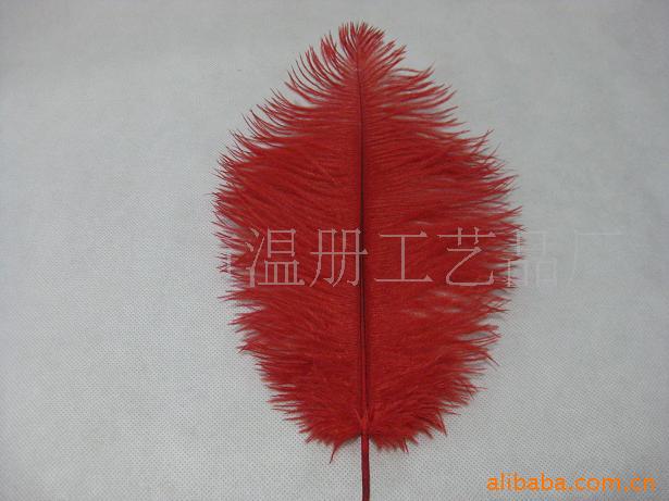 驼鸟羽毛