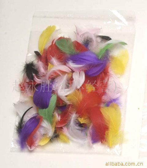 羽毛,羽毛工艺.羽毛制品.羽毛装饰品.鸡毛(图)