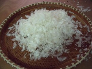 15%Ѽޣˮϴ¹15%Ѽޣɶȸ