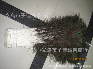 ֱӡȽȸë80-90CMװë廨ë