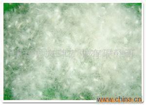做羽绒服南方羽绒