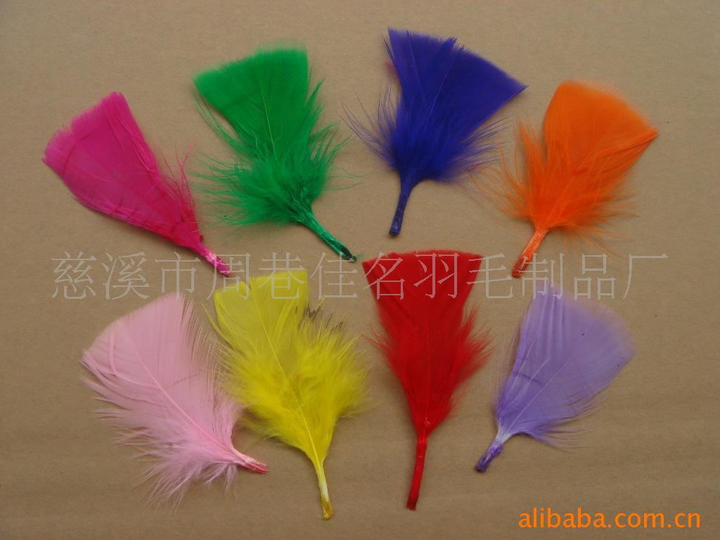 批发染羽毛,火鸡毛,羽毛原料,羽毛工艺品