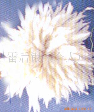 ëƷ/ë/ë