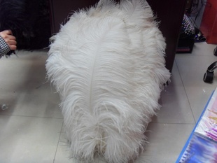 ëë35CM-40CM