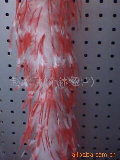 羽毛.鸡毛,鸵鸟毛.雀尾.羽毛工艺,火片(图)