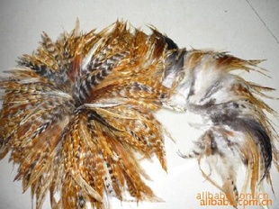 ë