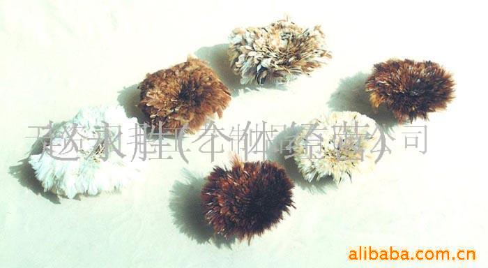羽毛,羽毛工艺品,羽毛装饰品,鸡毛(图)
