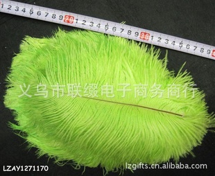 ޽ڻëֹֻLZAY1271170