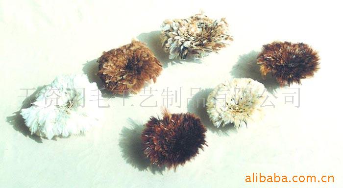 羽毛,羽毛工艺,鸡毛,鸵鸟毛条,雀尾,毛条(图)