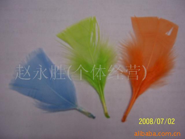 羽毛,羽毛工艺,鸡毛,鸵鸟毛条,雀尾,毛条