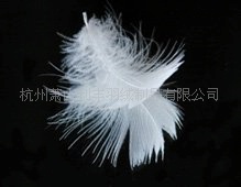 2-4cm4-6cmëƬ