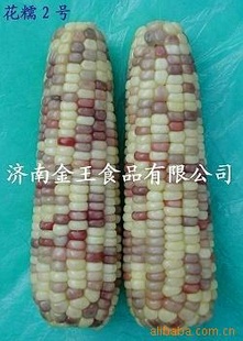 Ŵ׽ʳƷʳƷ