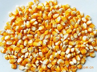 5000