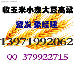 귢ֽ״С޲Ϳ