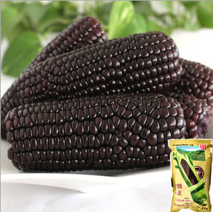 ֱ޹װ