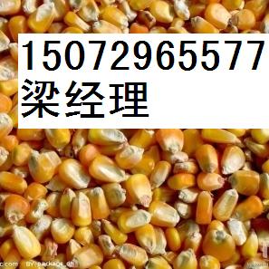 ũҵ15072965577