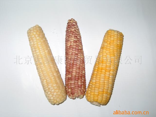Ŵװ