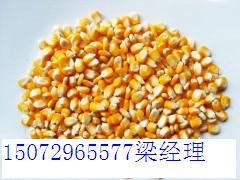 ũҵ15072965577