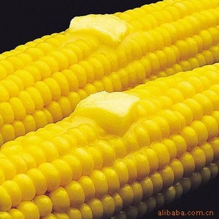 ϺԪʢװֱٶʳؼ