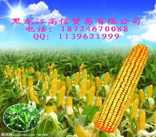 --ػ