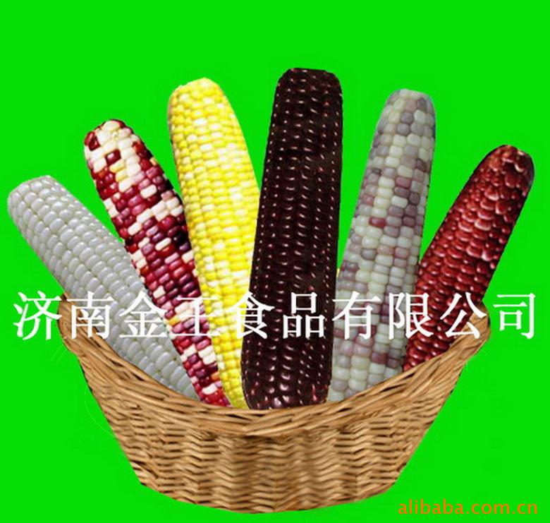 ʳƷŴ׼˴