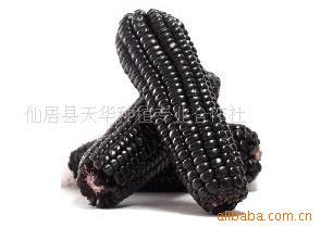 Ŵ