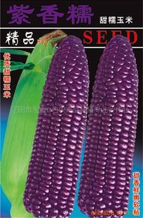 Ŵ