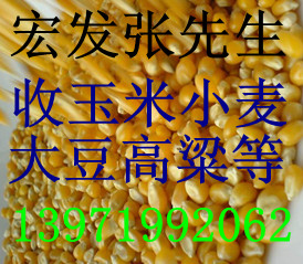 귢չ