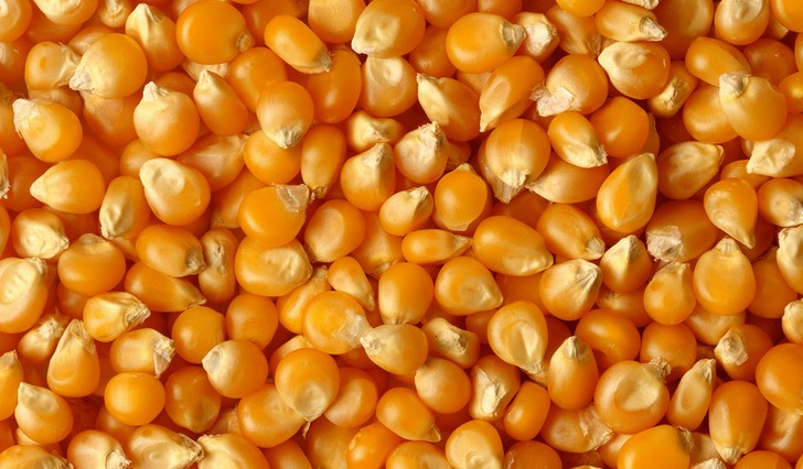 չ״󶹸η۴
