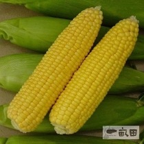 ƷˮlװԵ