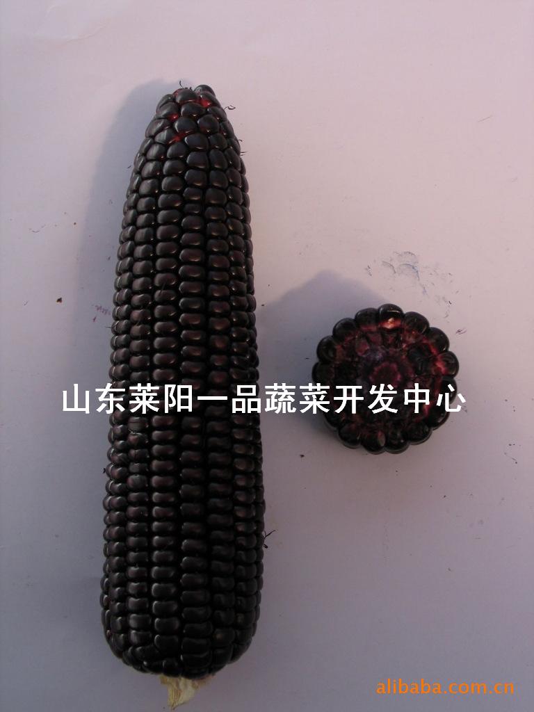 ӺŴһ
