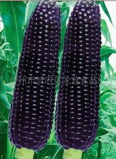 պŴ׺ŴŴ