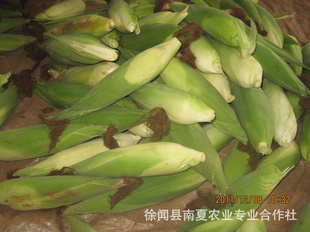 ֱ޹ʳƷף