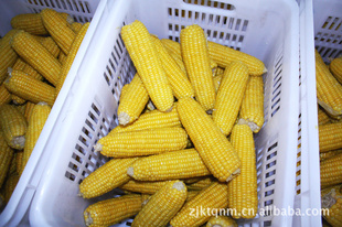 ٶװˮװ14-18cm