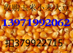 չС󶹺