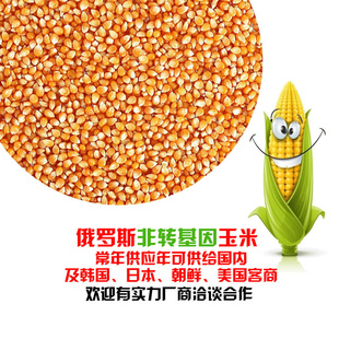 ˹ڷתӭѯ