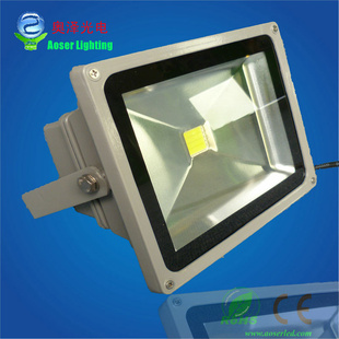 ﾶ˶ƾLED30W׹IP65ˮ