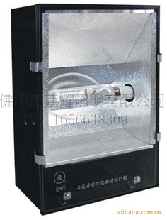 ϺZYQ-3-J1000W򳡵˶ݵƽ±