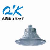 悬挂灯NGC9830海洋王防眩灯250W/400W
