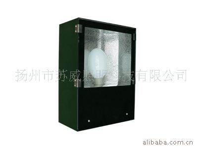 ޼˶ݵƾߣ1000