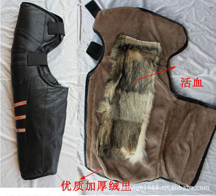ȫ滤ϥ綯ϥůϥĦгϥë