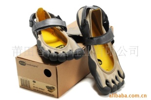 2010VIBRAMָЬͰ