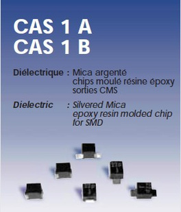 ѹĸCAS1A