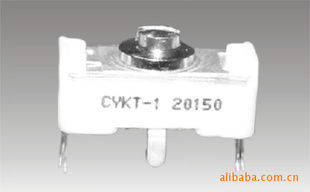 CYKT-1Ϳɵĸ