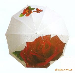 ۵ɡɡ۵ɡ