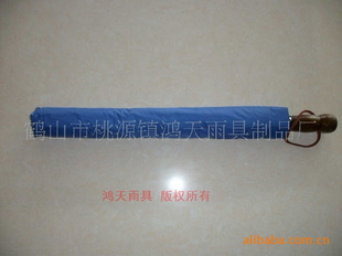 25簲ȫԿάɡ
